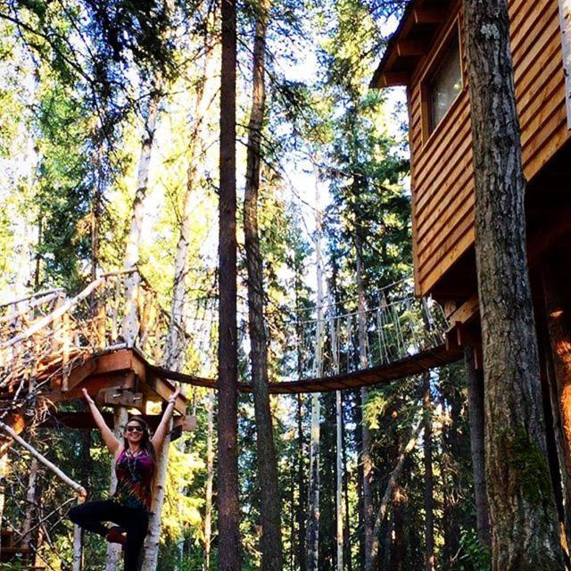 Sven'S Basecamp Hostel Fairbanks Exterior photo